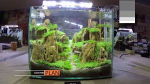 Lighting is another thing you must consider when creating the aquascape of your tank. Aquascape Contest A Combat Tank 300 Youtube