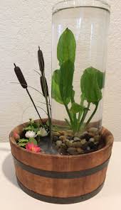 Water Plant Barrel Planter Miniature Pond Indoor Water Garden Pond Plants Plants