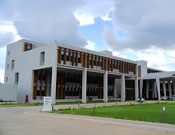 Image result for Grewia conocarpoides