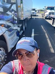 Sheep herding in the mountains
