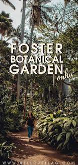 Oahu S Foster Botanical Garden A Visitor S Guide Botanical Gardens Hawaiian Vacation Hawaii Travel