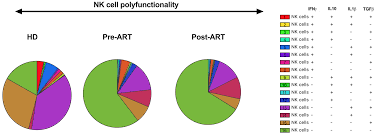 Introduction Surgical Technique Discussion Methods Results