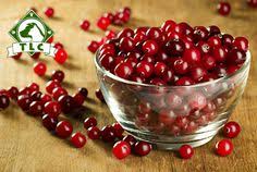 With location and activity tracking, these wearable trackers and collars can help make sure your dog or cat is. Tlc Pet Food Tlcpetfood Profile Pinterest