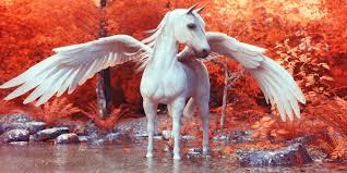 Pegasus und einhörner (blutengel stay). Vliestapete Poster Fototapete Tapete Pegasus Pferd Magic Wald Kinder Poster Fototapete B Wie Bilder De