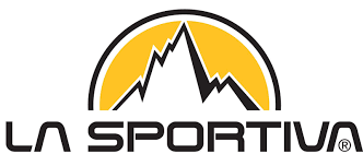 Image result for psdi partito logo simbolo marca