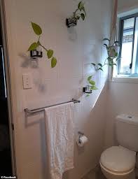 We did not find results for: Bunnings Shopper Turns A Fusion Loc Tumbler With Suction Cups Into Planter For The Bathroom Daily Mail Online