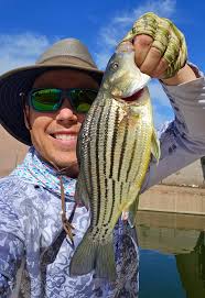 Skunk encounter while fishing in Arizona waters