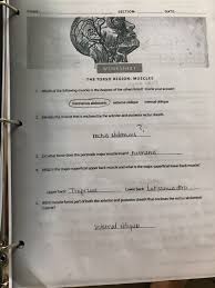 Packed full of terms for the major muscles, this resource explains important anatomy concepts and why they matter in life. Solved Section Date Worksheet The Torso Region Muscles Chegg Com