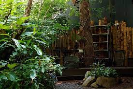 東京 トラベルガイド biotop ビオトープ the fashion post ザ ファッションポスト house styles backyard outdoor decor