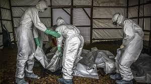 Isolated outbreaks are common, particularly in africa. Ebola Africa Born Deadly Virus Keeps Killing Thousands