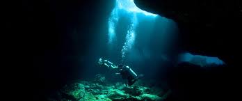 Big Island Scuba Diving Big Island Diving Tom Barefoot S Tours