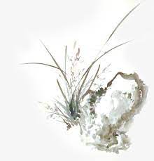水墨画怪石兰花中秋高清素材中秋兰花怪石水墨画in 2021 flowers plants dandelion