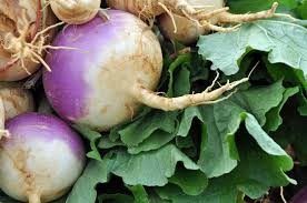 Improved Turnip