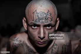 105.291 Gang Stock Photos, High-Res Pictures, and Images