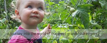 Eco Film Club Archives