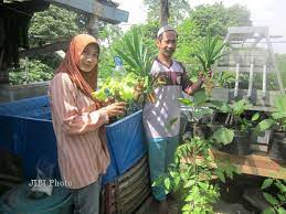 Ruang tamu di atas rumah. Kisah Inspiratif Asyiknya Berkebun Di Atap Rumah