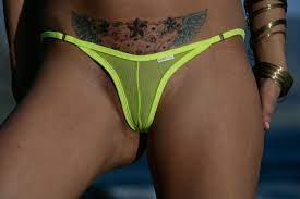 Sheer Cameltoe Thong Bikini - The-Bikini.com Cameltoe Sheer Bikini thong