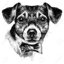 Bitte gebt mir schnell bescheid, ob ihr ein teil der feier seid! Kunst Jack Russell Black White Portrait Print Pet Picture Cute Dog Drawing Poster Grassrootmarkmen Com