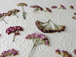 Pin On Dried Flowers