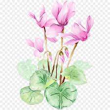 Download transparent flowers download png for free on pngkey.com. Clip Art High Resolution Clipart Watercolor Anthurium Flowers Wedding White Floral Clip Art Instant Download Art Collectibles