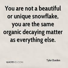 You are not a beautiful or unique snowflake. Quotes About Snowflake 81 Quotes