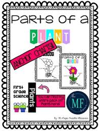 Parts Of A Plant Anchor Charts