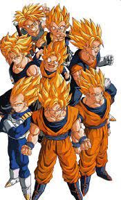 Six saiyans took part in a ritual and transferred their power to goku. Super Saiyan Dragon Ball Wiki Fandom