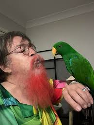 Hi just wanted to introduce myself! Names Josh! I bump, push, and nudge the  person in front of me off the road! If you ever see Chief_Pow_Wow