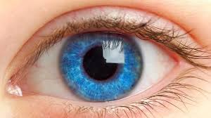 Blue Green Eyes Learn About This Rare Color Guy Counseling
