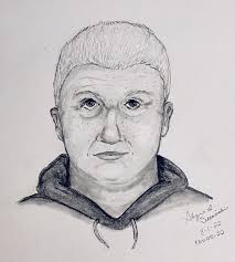 Michigan teen shares story of fighting off attacker now accused in 2  murders