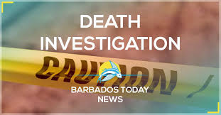 Pin On Barbados Today Business
