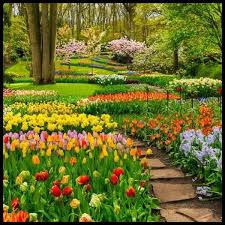 Kampong melayu kebun bunga şehrinde fgcc fresh generation community church malaysia'a 6 km, funtopia children/family center'a 3. Jual Hot Deal Wallpaper Custom Wallpaper 3d Wallpaper Dinding Walpaper Taman Bunga Di Lapak Delisha Shop Bukalapak