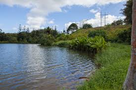 I loved it at the gardens! Energize Yourself At The Ho Omaluhia Gardens Active Oahu