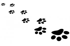 You have several ways to teach your dog to hug you. How To Teach Your Dog To Give Paw