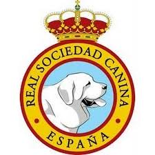 Real sociedad de fútbol, san sebastián. Real Sociedad Canina De Espana Youtube