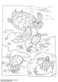 Sea Turtle Coloring Page Zeeschildpad Turtle And Tortise Quilts Turtle Coloring Pages Animal Coloring Pages Coloring Pages