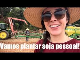 DEKALB hibridi kukuruza