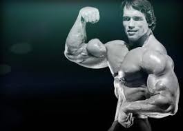 I migliori esercizi per allenare i bicipiti contemplano anche l'utilizzo di una grande varietà di attrezzi e pesi differenti. Esercizi Per Bicipiti Obbiettivo Braccia Esplosive Gym Blog