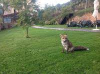 We did not find results for: Hostal Rural La Calera San Millan De La Cogolla Updated 2021 Prices