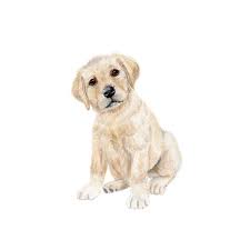 Labrador retrievers, labradoodles, lab puppies. Yellow Labrador Puppy Portrait Dog Nursery Decor Tiny Toes Design