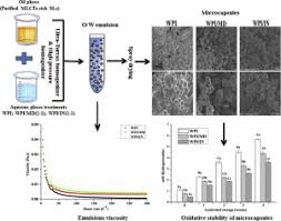 Great wall nutrition technologies sdn bhd. Spray Dried Novel Structured Lipids Enriched With Medium And Long Chain Triacylglycerols Encapsulated With Different Wall Materials Characterization And Stability Sciencedirect