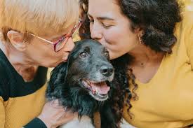 Anybody have dog food that can be dropped off