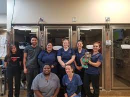 #105 san antonio, tx 78217. Emergency Pet Clinic San Antonio 31 Photos 78 Reviews Veterinarians 8503 Broadway St San Antonio Tx Phone Number