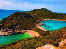 Image result for Faroa affinis