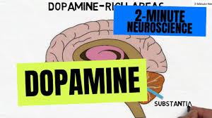 Image result for Dopamine