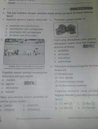 Check spelling or type a new query. Kegiatan Ekonomi Agraris Antara Lain A Pertanian Dan Perindustrianb Perindustrian Dan Brainly Co Id