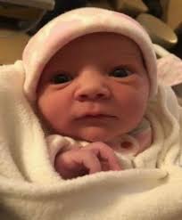 Intermediate School District 917 School Boards are Essential to School  Success!