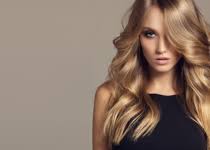 On the street of west jericho turnpike and street number is 146. Cactus Salon 26 Vanderbilt Motor Pkwy Commack Ny 11725 Yp Com