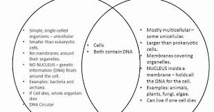 Prokaryotes Vs Eukaryotes Worksheet New Prokaryotic And Eukaryotic Cells Worksheet In 2020 Prokaryotes Prokaryotes Vs Eukaryotes Eukaryotic Cell