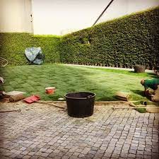 Pin Su Giardino